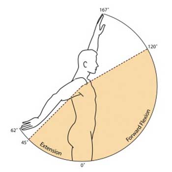 Shoulder Replacement Surgery: How the Shoulder Works & When Surgery is ...